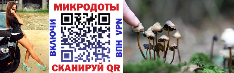 Псилоцибиновые грибы мицелий  KRAKEN ССЫЛКА  Биробиджан 